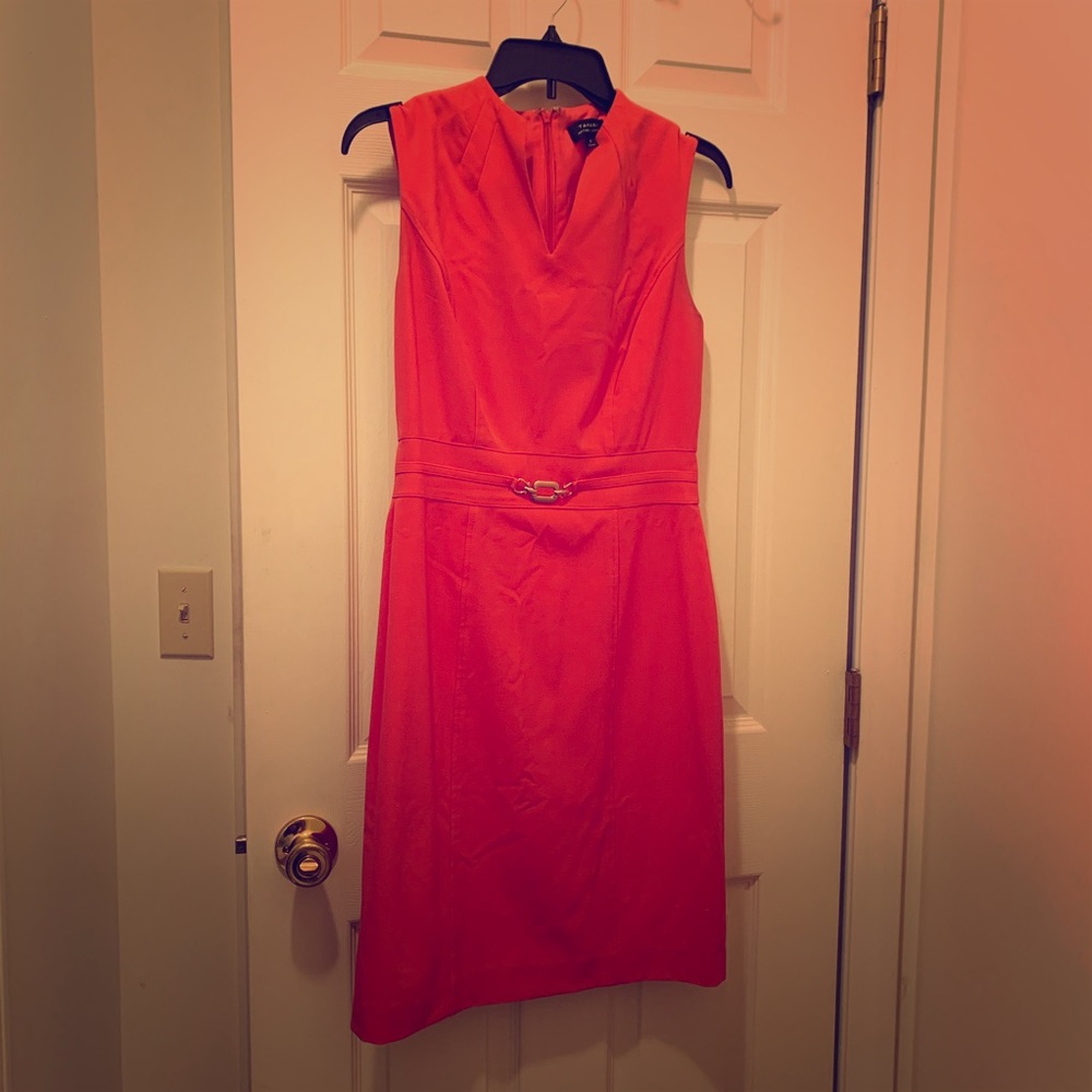 Tahari Dress